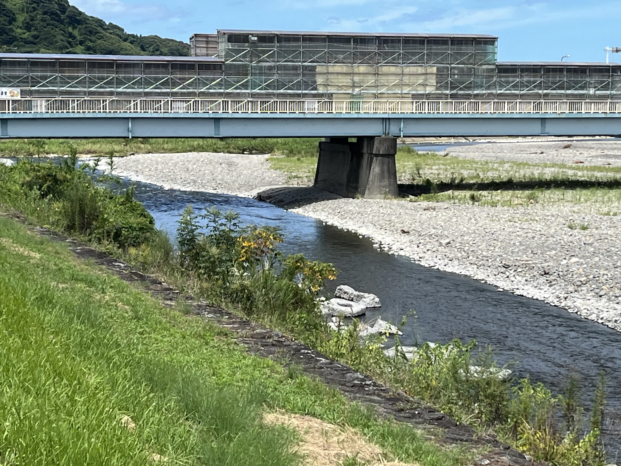 【J#108】坂村真民さんと砥部町＋道後宝厳寺〜瀬戸内海の旅③〜