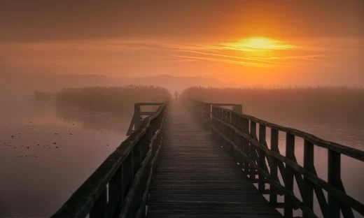 読書会で、スピリチュアル、自己実現について遠く彼方のことを語る