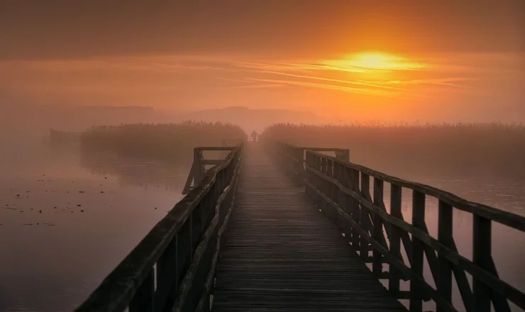 読書会で、スピリチュアル、自己実現について遠く彼方のことを語る